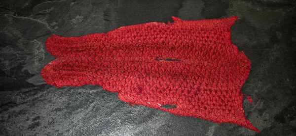 Koi Karpfen Leder – Rot